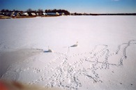 423919871 Estonia, frozen lake 1